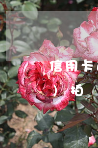 信用卡逾期經(jīng)適房會(huì)拍賣(mài)嗎