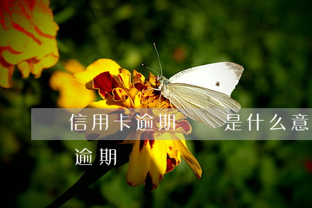 信用卡逾期維護是什么意思-怎么叫信用卡逾期