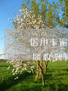 信用卡逾期網(wǎng)上仲裁 信用卡 逾期 收到 律師 通告