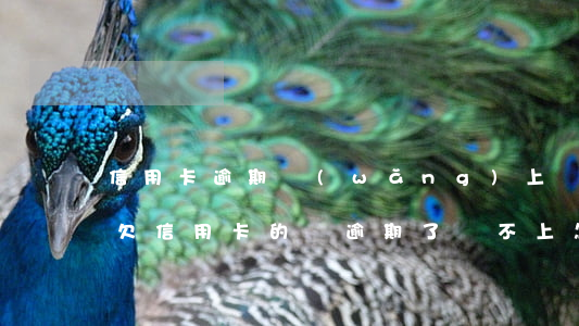 信用卡逾期網(wǎng)上還不了怎么辦(欠信用卡的錢逾期了還不上怎么辦)