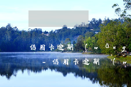 信用卡逾期網(wǎng)上還款不了怎么辦-信用卡逾期網(wǎng)上還款不了怎么辦呢