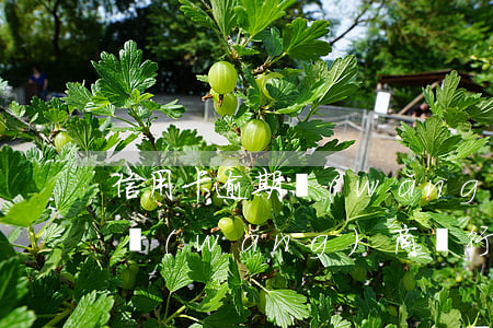 信用卡逾期網(wǎng)商銀行會下款嗎 網(wǎng)商銀行逾期上征信后果有多嚴(yán)重?