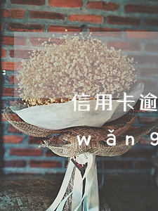 信用卡逾期網(wǎng)貸可以過嗎(網(wǎng)貸逾期信用卡逾期會(huì)怎么樣)