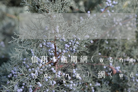 信用卡逾期網(wǎng)貸逾期怎么申請(qǐng)網(wǎng)貸-信用卡逾期網(wǎng)貸逾期怎么申請(qǐng)網(wǎng)貸的