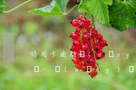 信用卡逾期網(wǎng)貸逾期能坐高鐵嗎?-網(wǎng)貸和信用卡逾期了以后可以坐飛機(jī)嗎?