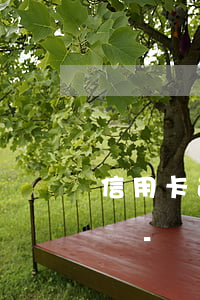 信用卡逾期網(wǎng)貸逾期能坐高鐵嗎?-網(wǎng)貸和信用卡逾期了以后可以坐飛機嗎?