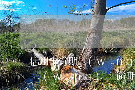 信用卡逾期網(wǎng)貸逾期車貸逾期(網(wǎng)貸逾期可以申請車貸嗎)