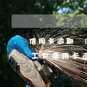信用卡逾期網(wǎng)貸逾期進工廠打工(欠信用卡逾期打工可以慢慢還嗎)