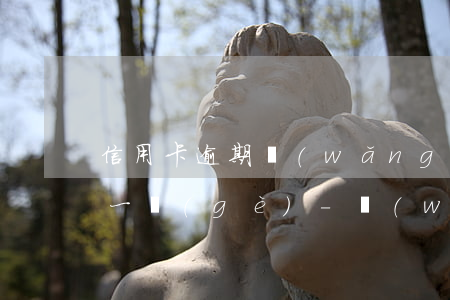 信用卡逾期網(wǎng)貸還不上先還哪一個(gè)-網(wǎng)貸和信用卡逾期先還哪一個(gè)