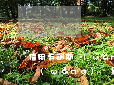 信用卡逾期網(wǎng)貸黑戶該怎么辦(網(wǎng)貸黑戶怎么辦理信用卡)