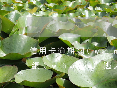 信用卡逾期網(wǎng)逃-信用卡逾期網(wǎng)逃人員查詢
