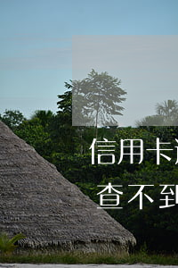 信用卡逾期網(wǎng)點(diǎn)查不到(信用卡逾期網(wǎng)點(diǎn)查不到信息)