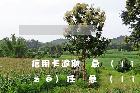 信用卡逾期緊急聯(lián)系人有責(zé)任(緊急聯(lián)系人拒接信用卡催收電話后果)