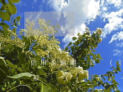 信用卡逾期緊急聯(lián)系人賬戶會被凍結(jié)-信用卡逾期緊急聯(lián)系人賬戶會被凍結(jié)嗎