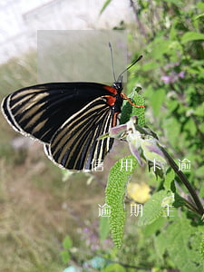 信用卡逾期線下協(xié)商成功(信用卡逾期主動(dòng)協(xié)商管用嗎)