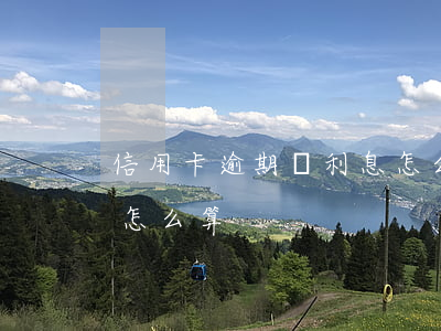 信用卡逾期總利息怎么算(欠信用卡逾期利息怎么算)