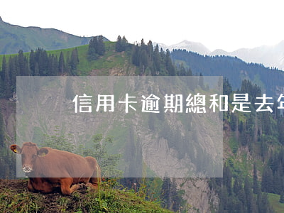 信用卡逾期總和是去年的