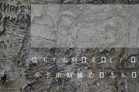 信用卡逾期總是發(fā)威脅恐嚇信息(信用卡逾期被恐嚇怎么辦)