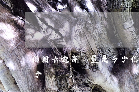 信用卡逾期總量是多少(信用卡逾期總量是多少)