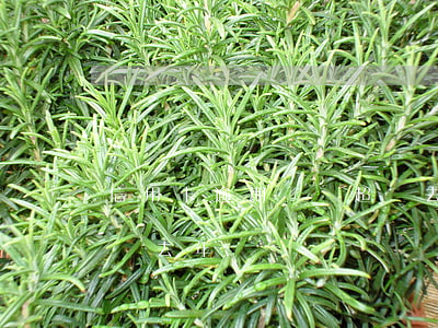 信用卡逾期總額超過去年(信用卡逾期總額超過去年)