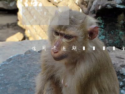 信用卡逾期繳納違約金會上征信嗎