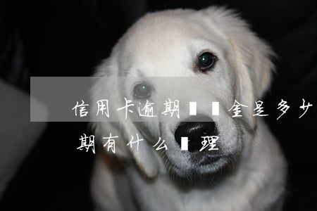 信用卡逾期繳納金是多少錢(今年的信用卡逾期有什么處理)