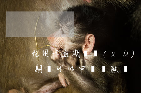 信用卡逾期 繼續(xù)用(如果有信用卡逾期還可以申請貸款嗎)