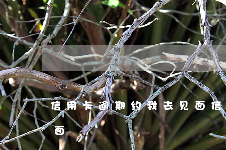 信用卡逾期约我去见面(信用卡逾期约我去见面)