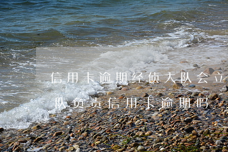 信用卡逾期经侦大队会立案吗(公安局经侦大队负责信用卡逾期吗)