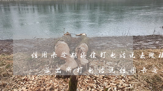 信用卡逾期经侦打电话说去做核酸燃后拘留-派出所打电话说信用卡逾期银行报案