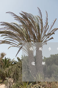信用卡逾期经侦立案会调查吗(被抓了信用卡逾期)