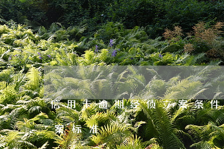 信用卡逾期经侦立案条件(信用卡逾期刑事立案标准)