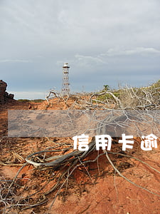 信用卡逾期经济困难证明模板图片