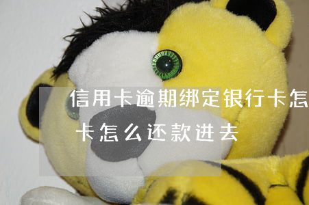 信用卡逾期绑定银行卡怎么解绑(逾期的信用卡怎么还款进去)