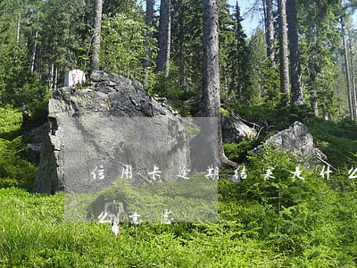 信用卡逾期结案是什么意思(贷款逾期结案什么意思)