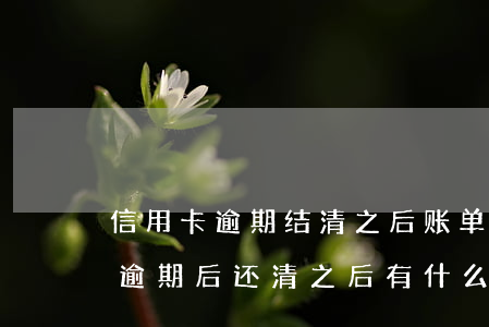 信用卡逾期结清之后账单会清零么(欠信用卡逾期后还清之后有什么危害)