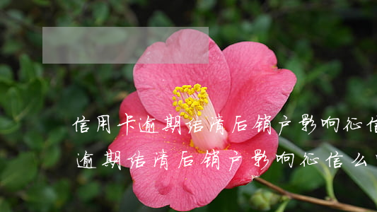信用卡逾期结清后销户影响征信么-信用卡逾期结清后销户影响征信么吗