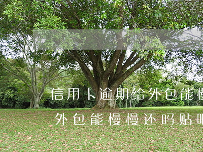 信用卡逾期给外包能慢慢还吗(信用卡逾期给外包能慢慢还吗贴吧)