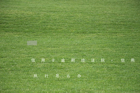 信用卡逾期给法院-信用卡逾期给法院强制执行怎么办
