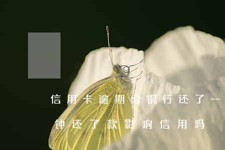 信用卡逾期给银行还了一(信用卡逾期了几分钟 还了款 影响信用吗?)