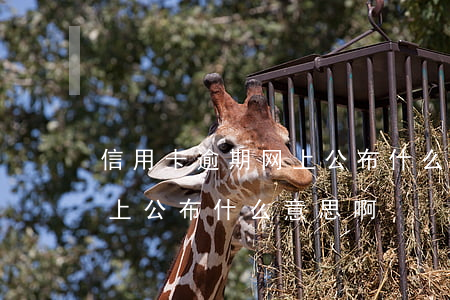 信用卡逾期网上公布什么意思(信用卡逾期网上公布什么意思啊)