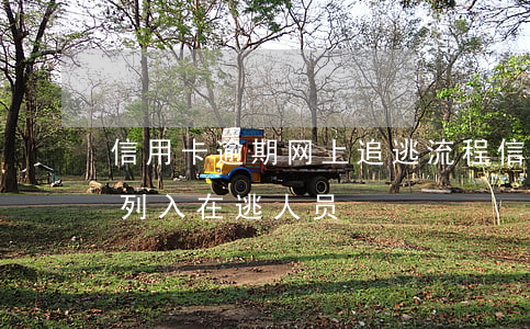 信用卡逾期网上追逃流程(信用卡逾期是否被列入在逃人员)
