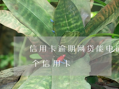 信用卡逾期网贷能申请不(网贷逾期能申请哪个信用卡)