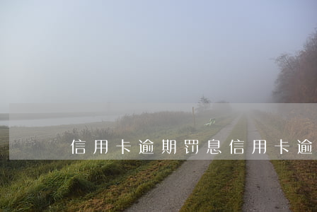 信用卡 逾期 罚息（信用卡逾期滞纳金跟罚金）