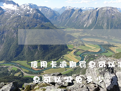 信用卡逾期罚息可以减免多少(信用卡逾期罚息可以减免多少)