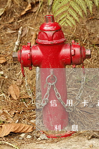 信用卡 逾期罚息 逾期利息（信用卡逾期咋算的利息）