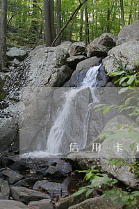 信用卡逾期罚金不认可(信用卡逾期违约金)