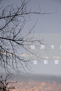 信用卡逾期罰了違約金上征信(逾期還款違約金影響征信嗎)