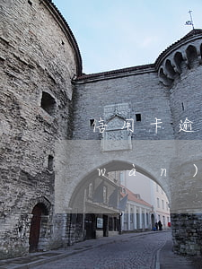 信用卡逾期罰息4倍合理嗎(欠信用卡6萬(wàn)逾期一年罰息)