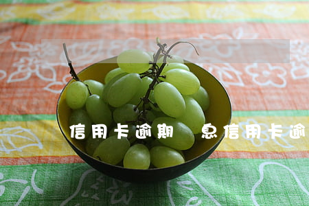 信用卡 逾期 罰息（信用卡逾期法院罰款）